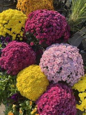 Lovely mums