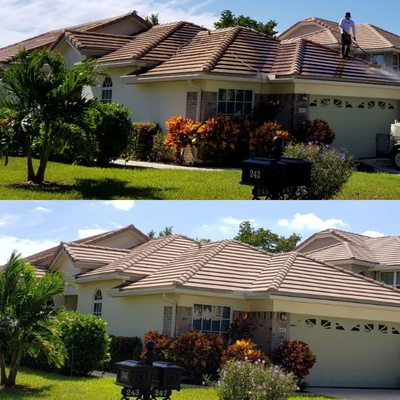 Flat Tile Roof Cleaning