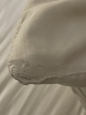 Pillowcase was torn.