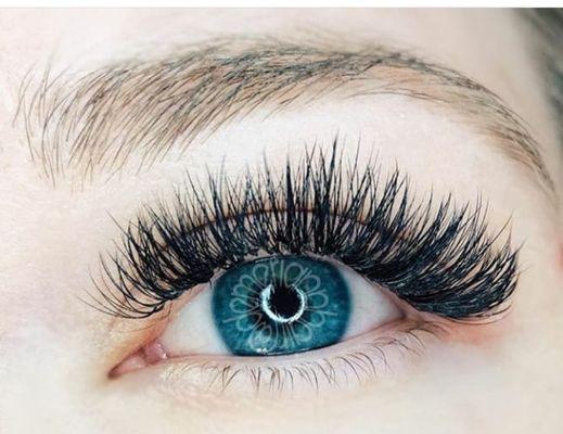 Full Set of Fresh & Fluffy Volume Lashes