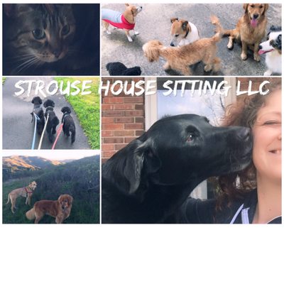 Strouse House Pet Sitting