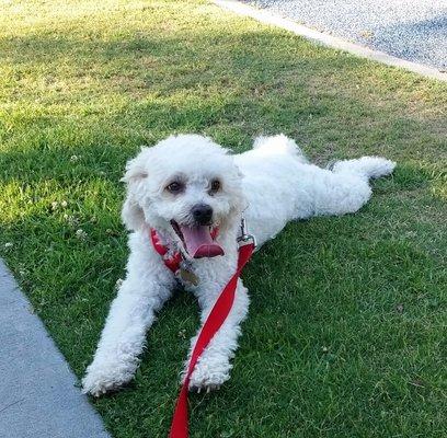 Hanging at the park with Daisy.