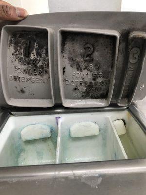 Mold that's accumulated on washer