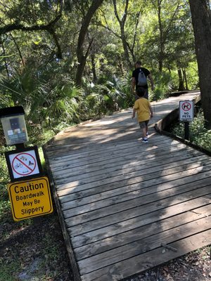 Entrance to boardwalk