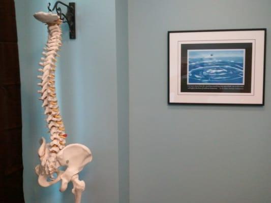 Johnson Chiropractic and Holistic Health Center