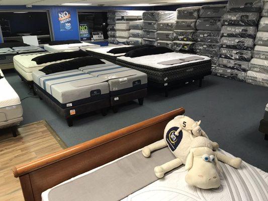 Split King Adjustable Beds - Bases and Mattresses