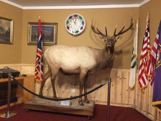 Elks B P O Lodge