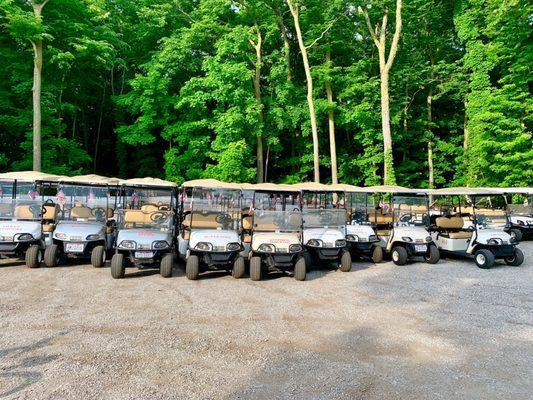 EGolf Carts