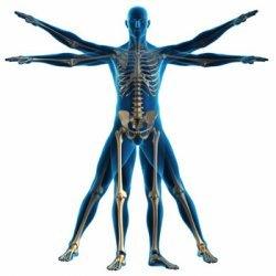 Bodywise Physical Therapy