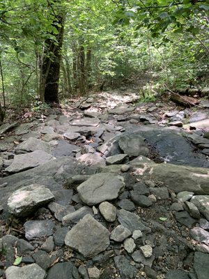 Wachusett Mountain State Reservation