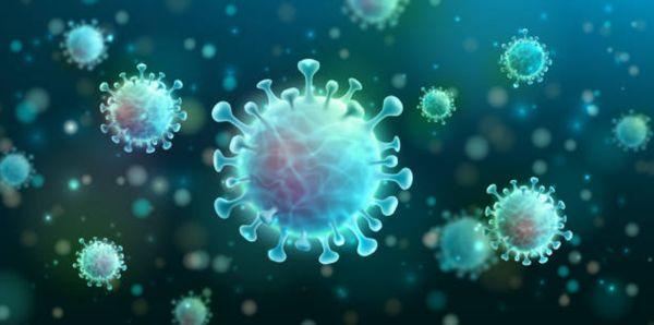 COVID-19 PCR Molecular test