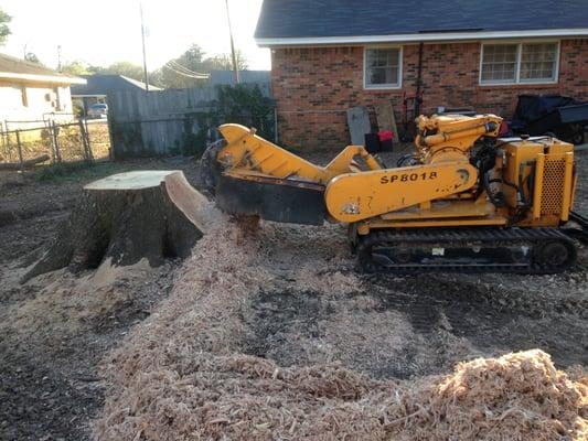 Stump Removal in Prattville