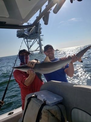 Just a couple pictures from the trip; he seemed to know exactly where to go and what to do to reel in great catch after great catch