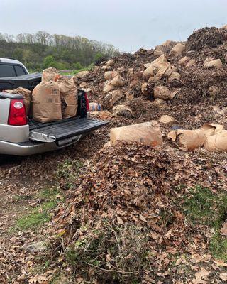 Leaf removal