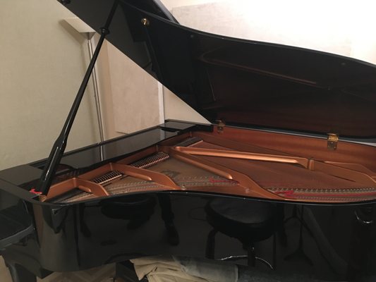 Yamaha C3 Grand Piano