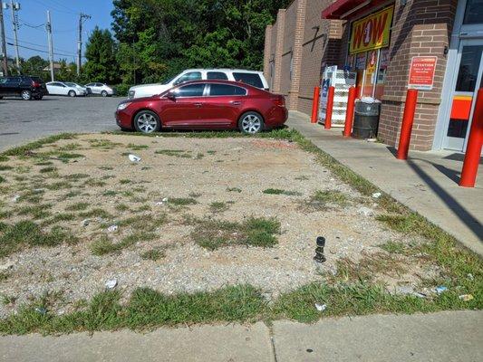 Family Dollar (Enright/Kingshighway) - littered and dead grass space