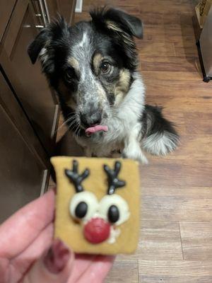 Doggie S'more