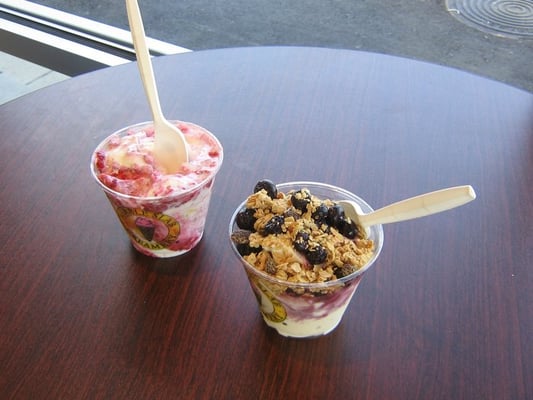 our ice cream and yogurt treats!