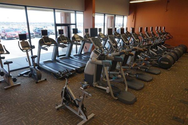 Variety of Cardio Machines