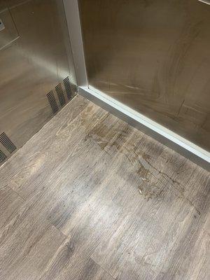 Dog piss in the elevators constantly