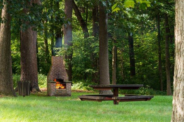 Picnic Area near hiking trails