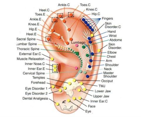 The ear can treat the whole body.  In Western Medicine, the treatment is  called Vagal Nerve Stimulation.