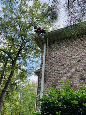 Gutter Cleaning