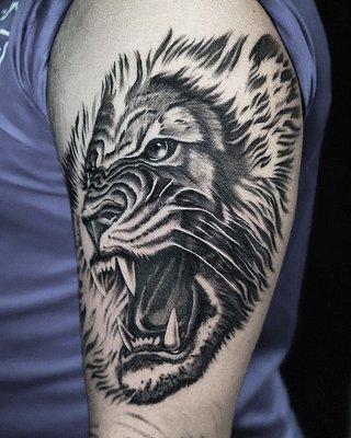 Lion by Tony