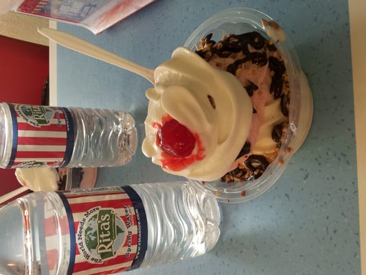 Strawberry and vanilla custard topped with peanuts, hotfudge, whip cream and a cherry. It was deliciouse :)