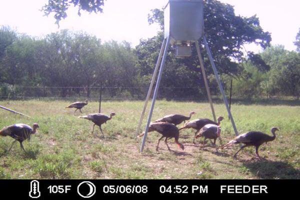 300lb broadcast feeder