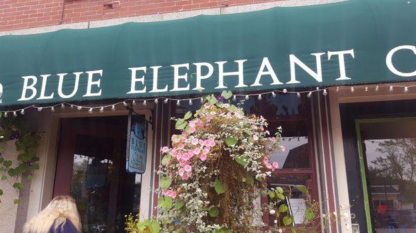 Blue Elephant Cafe