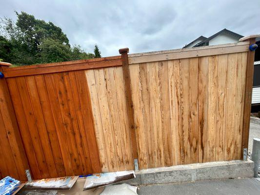 Hand brushing the stain into this new fence will ensure it properly penetrates and provides that rich color