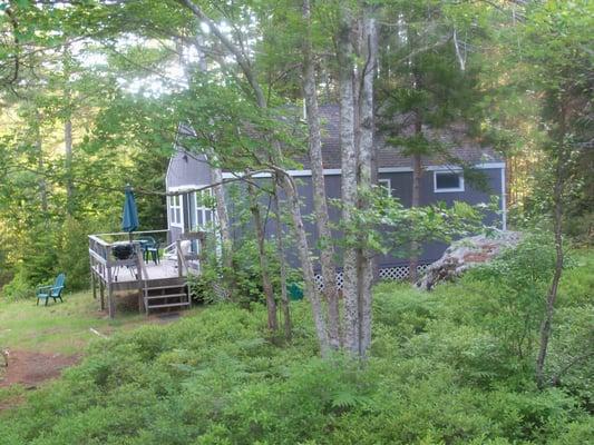 Cottage #3 two bedroom pet friendly cottage