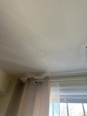 Water leaks, ceiling.