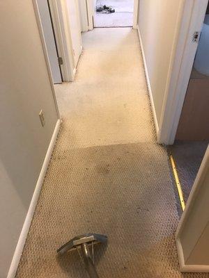 Quality Carpet Care