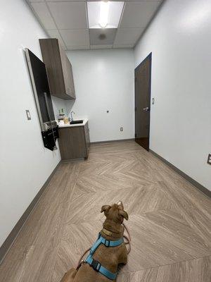 Cutler Animal Hospital