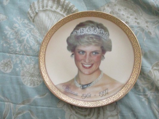 princess diana