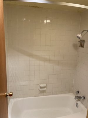 5' tall shower head. Overall view