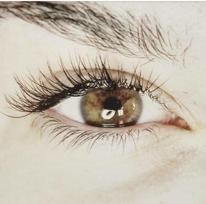 Eye Lash Extentions