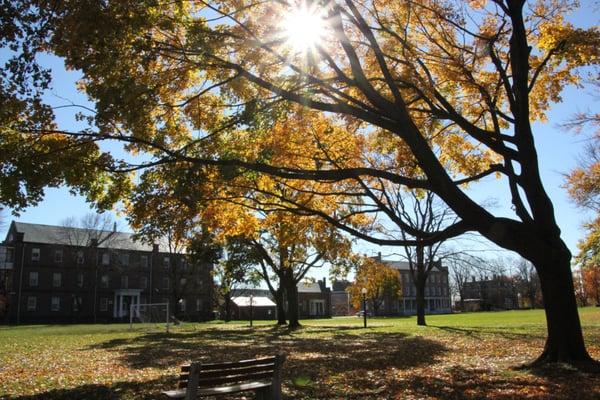 A beautiful fall view on the STCC campus.