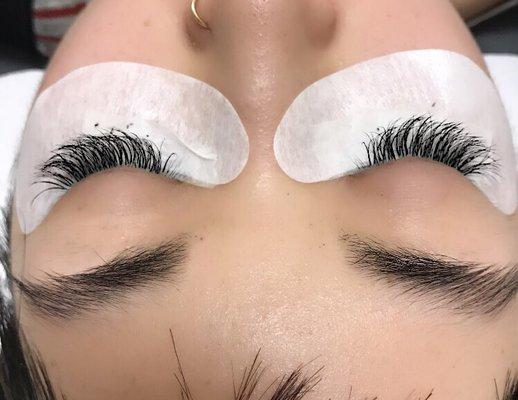 Lash by Ann