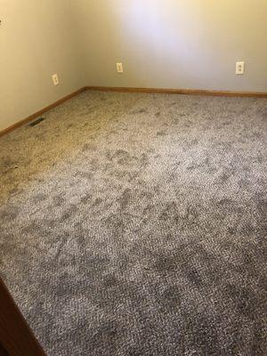 Every carpet room we install will be stretched perfectly. With no strings hanging on the edges.