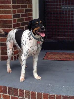 Summer cut! Looking spiffy and giving my mom a break from using the vacuum so much!