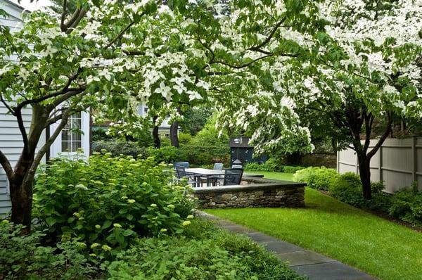 Dogwood canopy in full bloom 
 Design by: Mamie Wytrwal 
 Photo by: Rosemary Fletcher