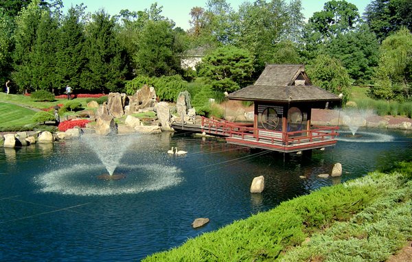 Japanese Garden