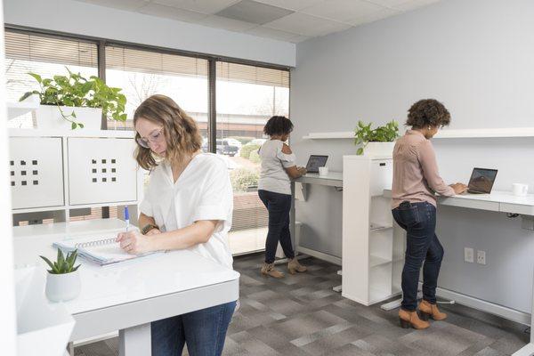 Dedicated Sit & Stand Electric Desks