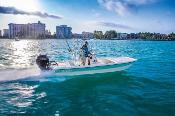 Mako 19 Pro Skiff with Mercury 115 Pro XS 4 stroke.  Fish beware!