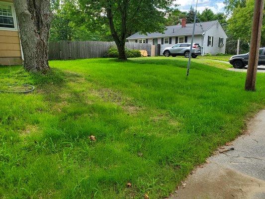 This is a photo facing my father's neighbor's property. You can see they rototilled and planted new grass over the property line.