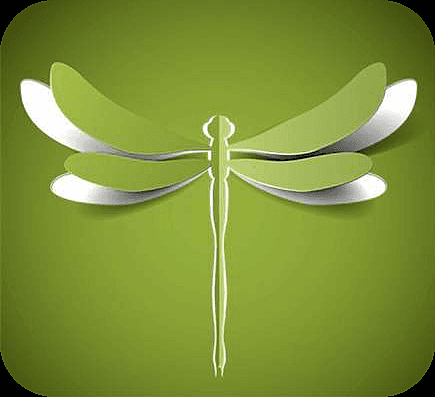 Dragonfly Acupuncture