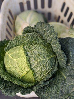 Williamsville Farmer's Market